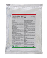 AMOXICIVEN 100 mg/g